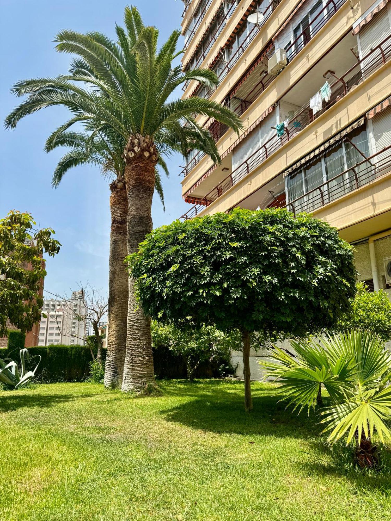 Apartment Piscis Benidorm Exterior photo